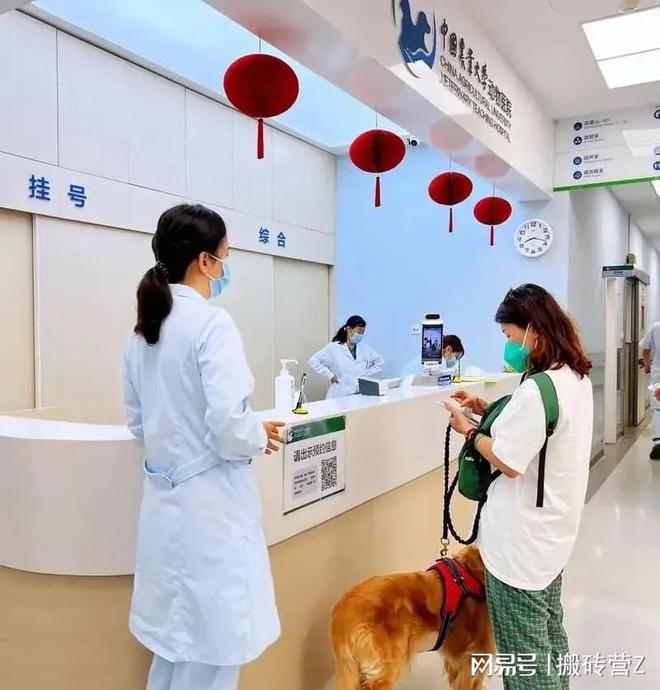 的生意想挣钱的值得参考别错过爱游戏最新4个低调却超暴利(图4)