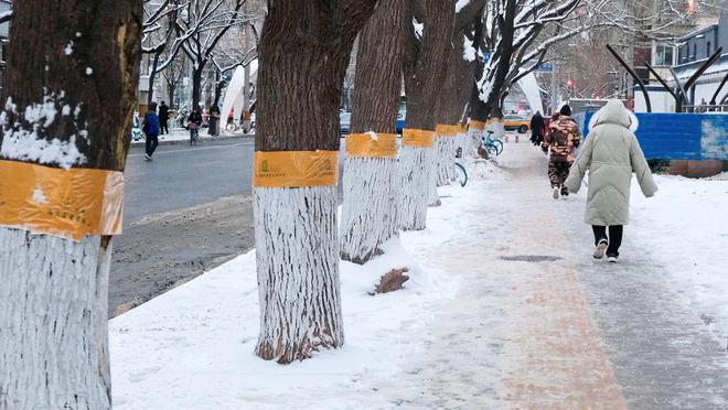 !明天昌平速冻模式即将开启爱游戏体育降雪+大风+降温(图6)