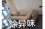衣机槽分别放什么爱游戏ayx洗